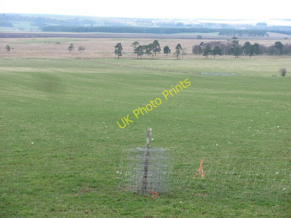 Photo 6"x4" Grass field above the moss Carnwath c2011