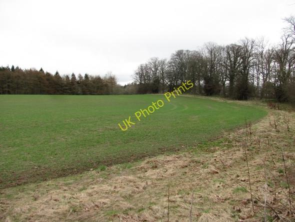 Photo 6"x4" Field, Foulden Foulden\/NT9255 c2011