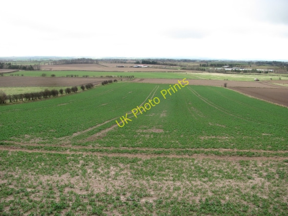 Photo 6"x4" Arable land, Foulden Foulden\/NT9255 c2011