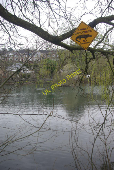 Photo 6"x4" Cromford Pond Cromford c2011