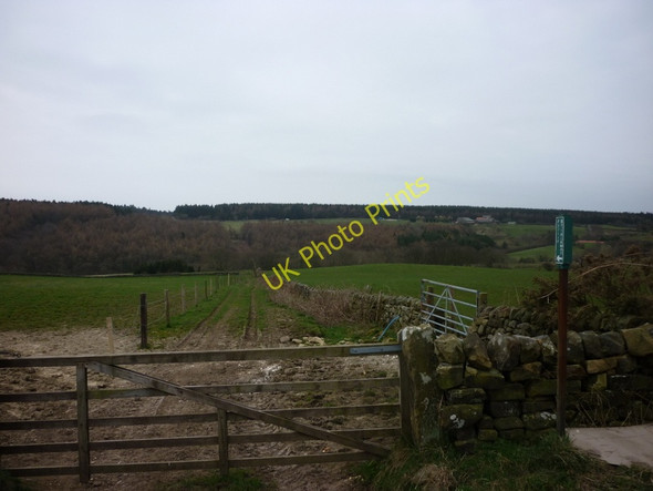 Photo 6"x4" A bridleway leading to A171 Staintondale c2011