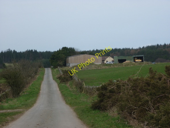 Photo 6"x4" Square Moor Farm on Brown Rigg Road Staintondale c2011