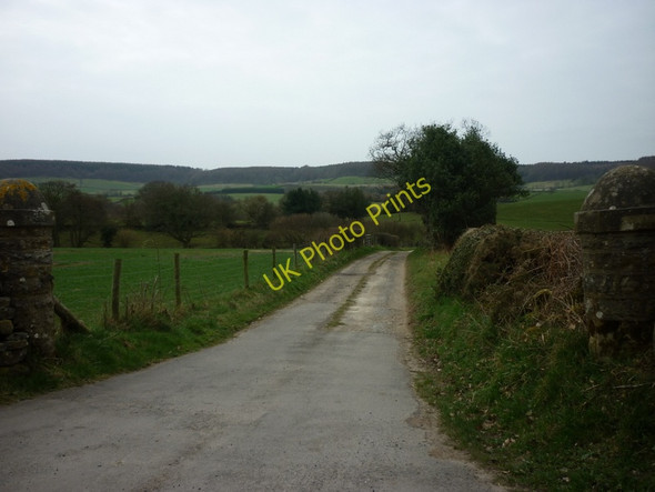 Photo 6"x4" The way to Thirley Beck Farm off Harwood Dale Beck Cloughton c2011