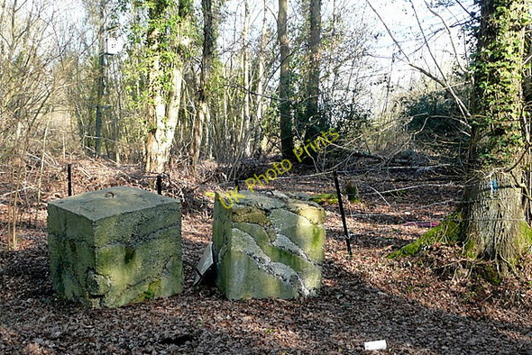 Photo 6"x4" Newlands Copse Bucket Corner c2011