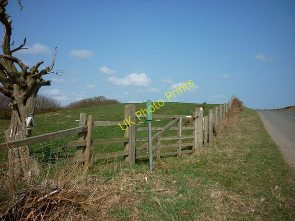 Photo 6"x4" A footpath to Jugger Howe Beck Harwood Dale c2011