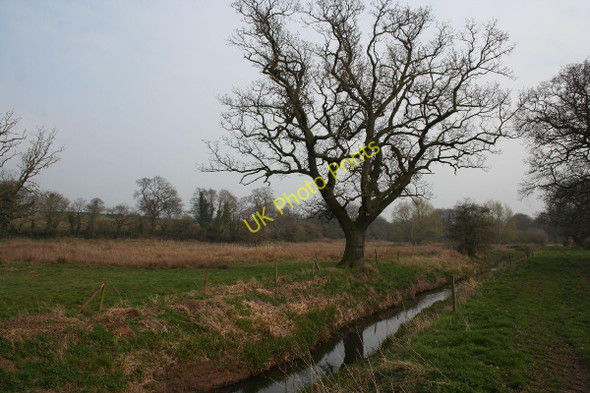 Photo 6"x4" River Gowy near Shropshire Union Canal Huxley c2011