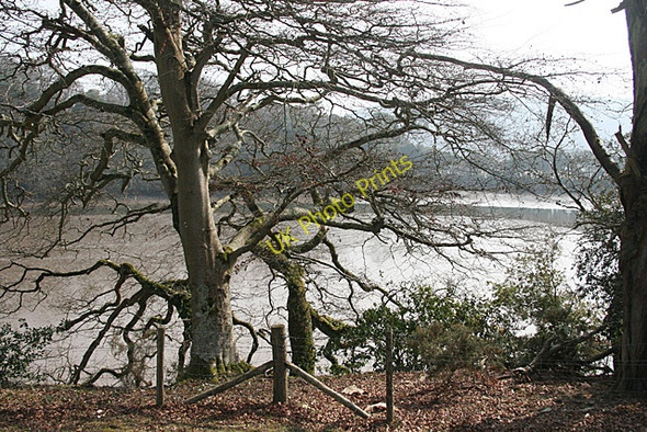 Photo 6"x4" Brixton: overlooking Mudbank Lake Brixton\/SX5552 c2011