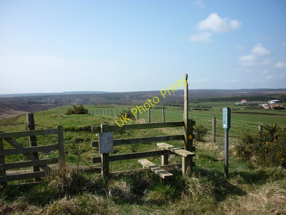 Photo 6"x4" A footpath to Brown Rigg Beck Fylingthorpe c2011