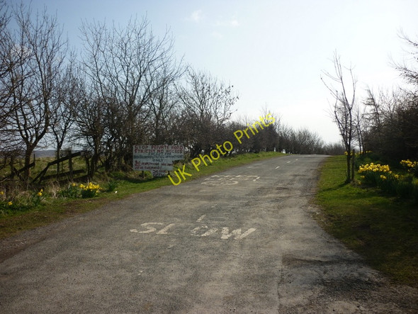 Photo 6"x4" The way to HoGarth Hill #1 Fylingthorpe c2011