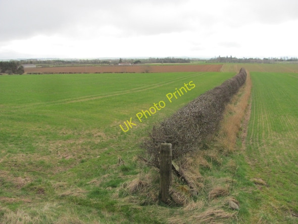 Photo 6"x4" Arable land, Foulden Foulden\/NT9255 c2011