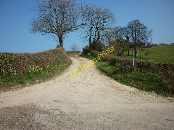 Photo 6"x4" The way to Low Farm Fylingthorpe c2011