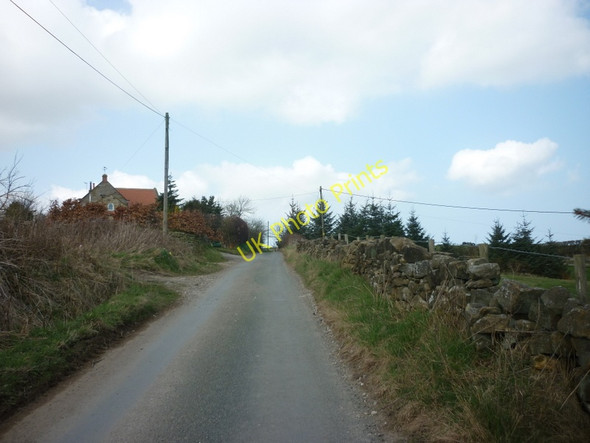 Photo 6"x4" Raw, North Yorkshire Raw\/NZ9305 c2011