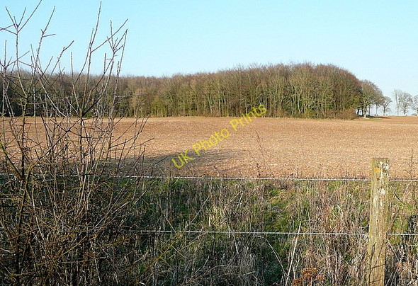 Photo 6"x4" Farmland off the Oxdrove Way Couch Green c2011