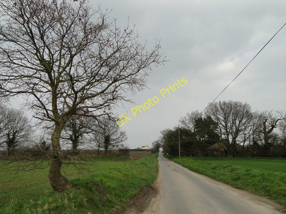 Photo 6"x4" Mill Road, Marsham Fengate\/TG1924 c2011