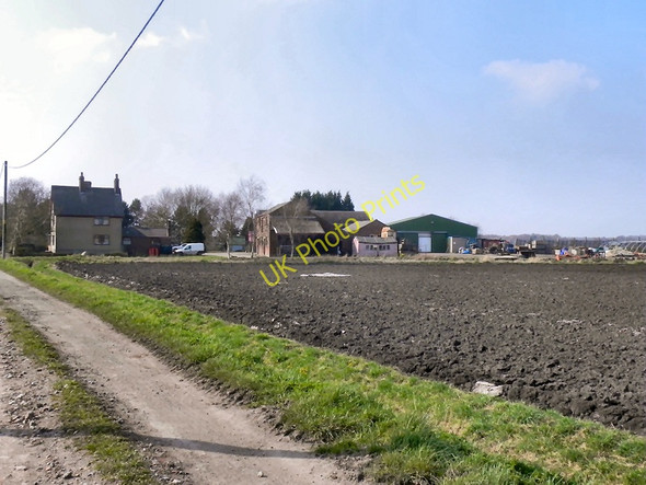 Photo 6"x4" Prospect Farm, Rixton Moss Gorse Covert\/SJ6692 c2011