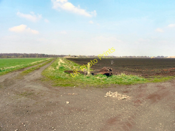 Photo 6"x4" Rixton Moss Gorse Covert\/SJ6692 c2011 P2