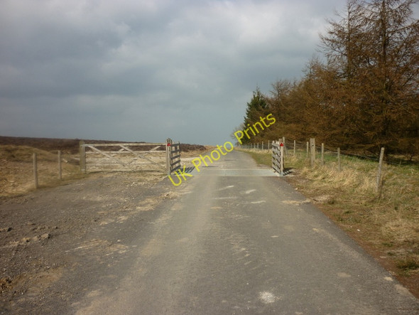 Photo 6"x4" Looking north along Keys Beck Road Stape c2011