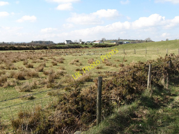 Photo 6"x4" Reedy fields south of the Island Moyle Road Kilcoo c2011
