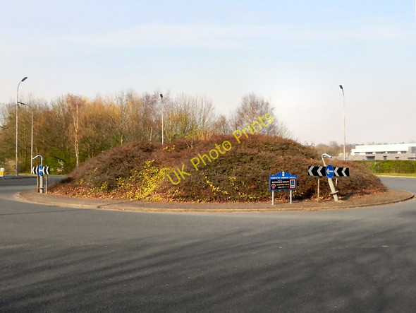 Photo 6"x4" Birchwood Centre, Traffic Island Birchwood\/SJ6491 c2011