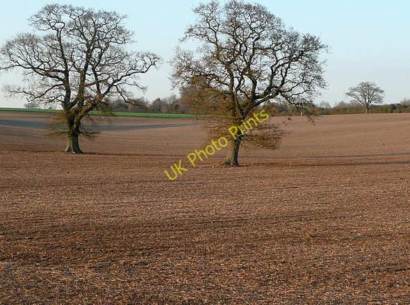 Photo 6"x4" Farmland off Northington Road Abbotstone c2011