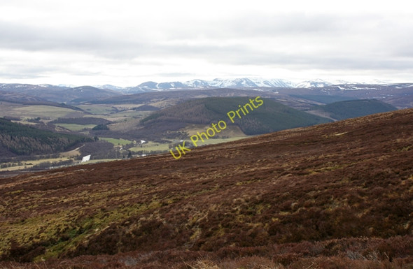 Photo 6"x4" Moorland on the Cromdale Hills Carn Eachie c2011