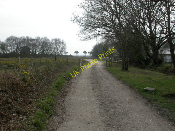 Photo 6"x4" Holt Heath, cattle grid Holt Heath\/SU0604 c2011