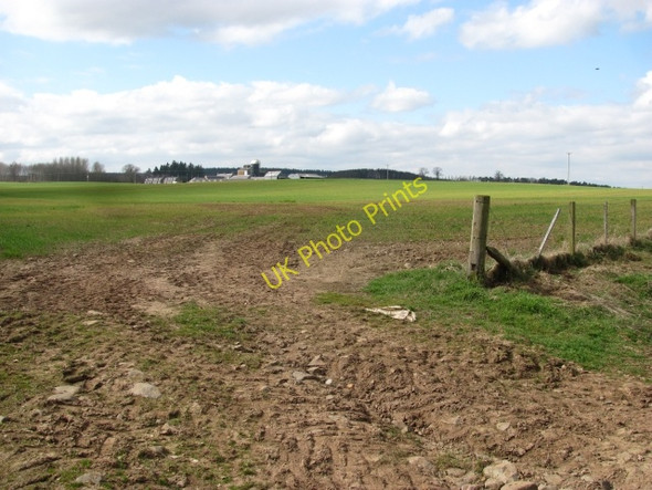 Photo 6"x4" Rutherford Burnside Manorhill c2011