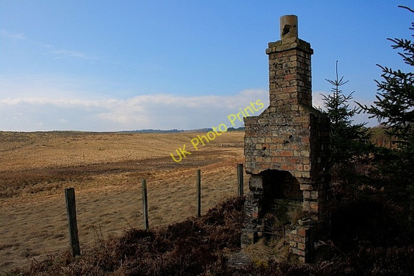 Photo 6"x4" Remains of Lineside Hut Ridsdale c2011
