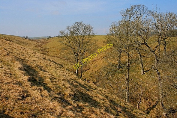 Photo 6"x4" Tributary of Ray Burn Knowesgate c2011