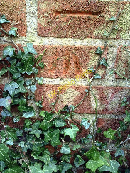 Photo 6"x4" Benchmark on boundary wall of 'Jesmond', Bayswater Road Barton\/SP5507 c2011
