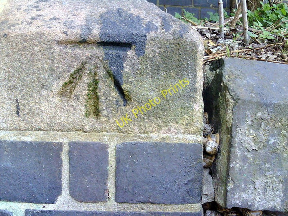 Photo 6"x4" Benchmark and snails on railway bridge abutment beside Thames towing path Oxford\/SP5106 c2011