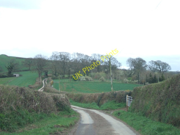Photo 6"x4" Road to the east of Cleave Cottage Heath Cross\/SX8494 c2011
