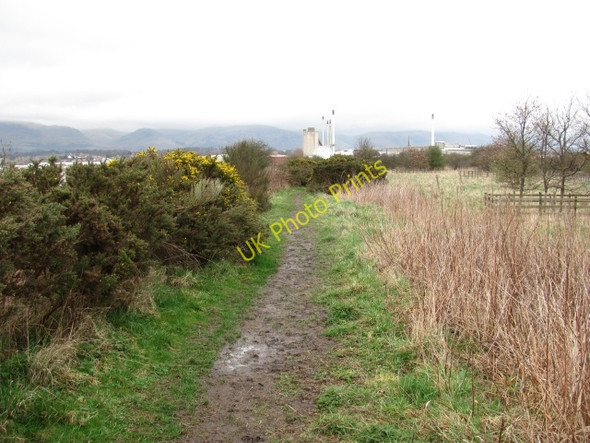 Photo 6"x4" Embankment path, South Alloa Alloa c2011
