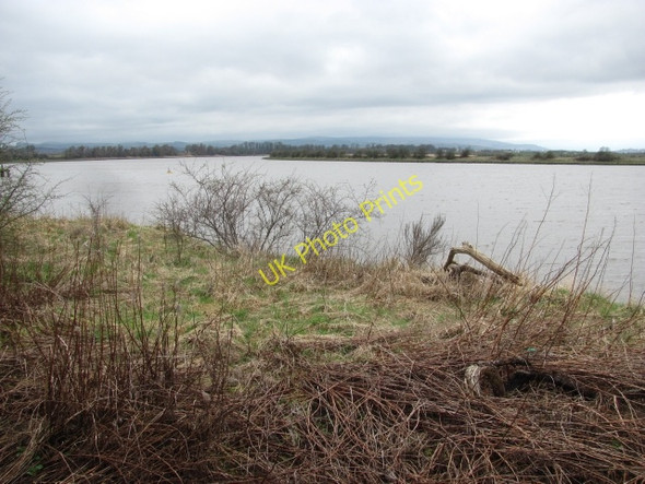 Photo 6"x4" Shoreline, South Alloa Alloa c2011