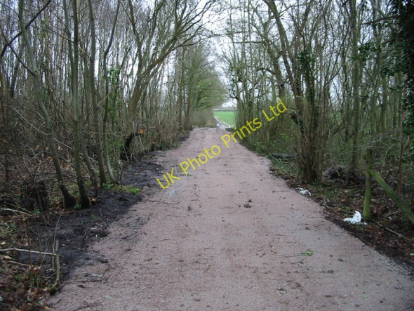 Photo 6"x4" Track and footpath towards Well Court Radfall c2008