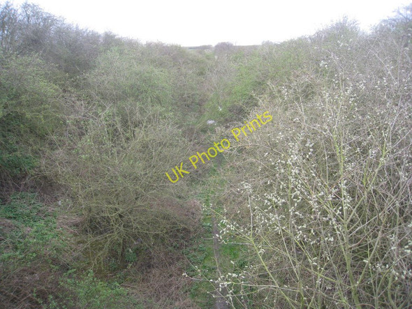 Photo 6"x4" There once was a railway Askerton Hill c2011