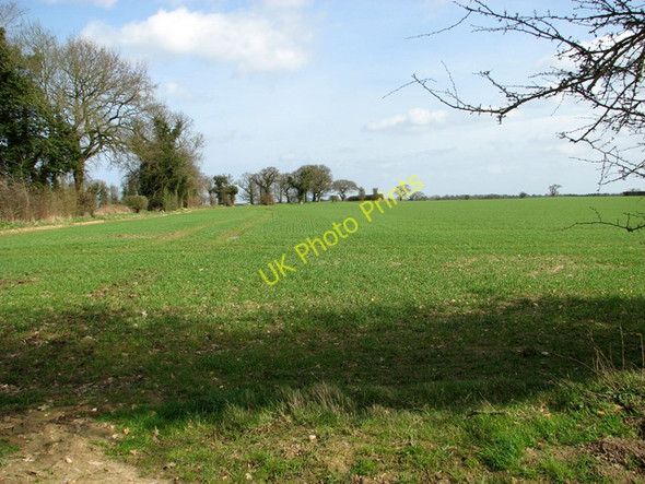 Photo 6"x4" Fields north of Manor Farm, Hanworth Alby Hill c2011