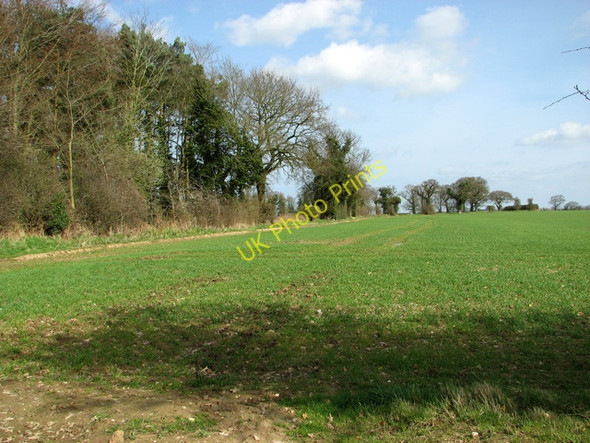 Photo 6"x4" Woodland north of Manor Farm, Hanworth Alby Hill c2011