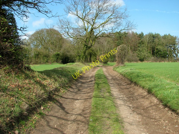 Photo 6"x4" Track from Manor Farm to St Bartholomew's church, Hanworth Alby Hill c2011