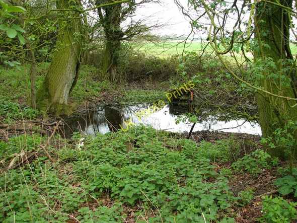 Photo 6"x4" Small pond beside the footpath, Wood Green Wood Green\/TM2091 c2011