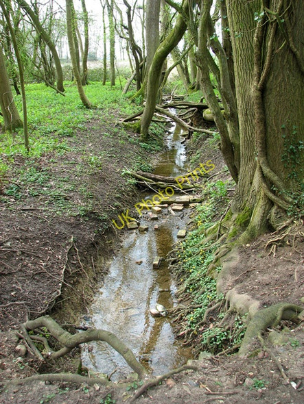 Photo 6"x4" Shelton Beck through Crow Green Wood Green\/TM2091 c2011