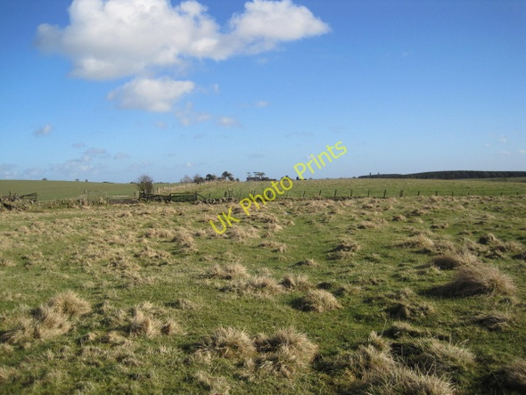 Photo 6"x4" Footpath towards North Fens Fenwick\/NZ0572 c2011