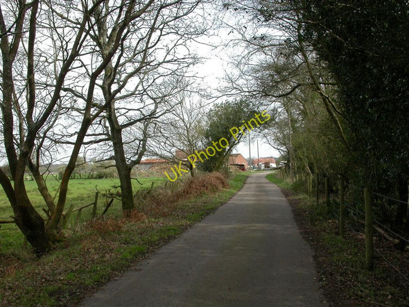 Photo 6"x4" Week Farm Bisterne c2011