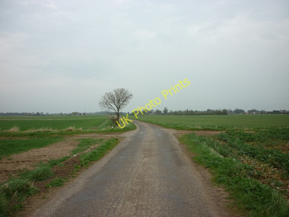 Photo 6"x4" New Lane towards Reedness Swinefleet c2011
