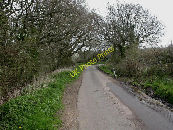 Photo 6"x4" North Kingston, lane junction North Kingston c2011