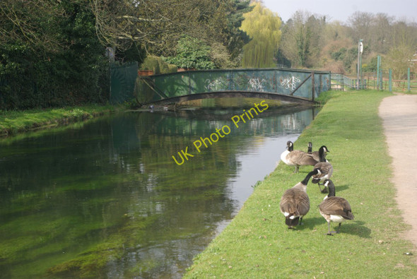 Photo 6"x4" New River, Broxbourne Hoddesdon c2011
