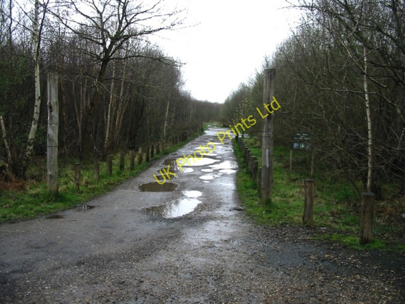Photo 6"x4" Parking off Thornden Wood Road Radfall c2008