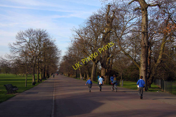 Photo 6"x4" Bower Avenue in Greenwich Park Greenwich\/TQ3977 c2011