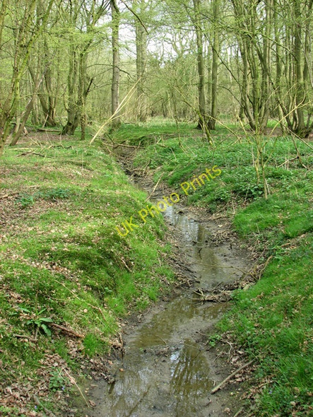 Photo 6"x4" USAAF Technical Site, Upper Billingford Upper Street\/TM1780 c2011