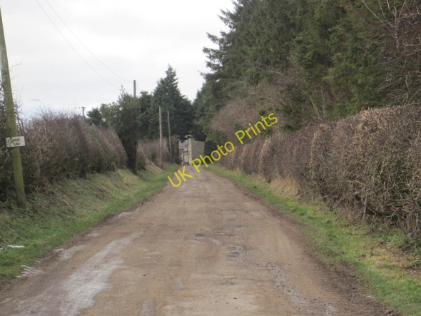 Photo 6"x4" Drive leading to Greatlaw Capheaton c2011